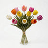 Bouquet di Tulipani Mix Colori | 12 Steli