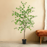 





Pianta Artificiale Tropaeolum | 130cm - Premium kunstplant van Florafy
 thumbnail