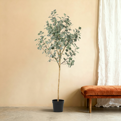 Kunstplant Eucalyptus | 180cm