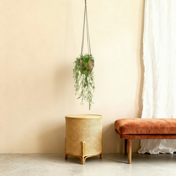 Kunst asparagus 'asperge' - 75cm: Elegant & Groen