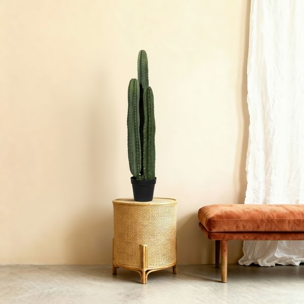 Kunst Cactus San Pedro 'cactus' - 100cm