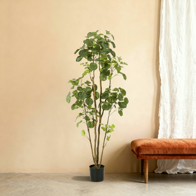 Kunstplant Aralia | 160cm