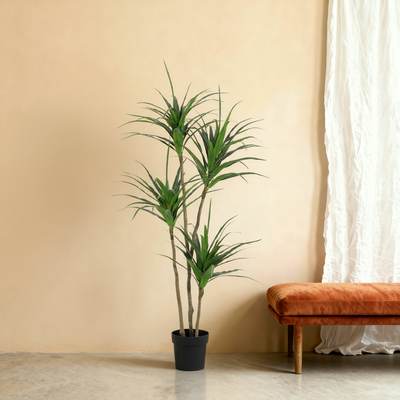 Kunstplant Dracaena | 165cm