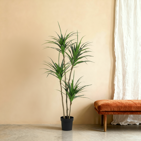 Kunstplant Dracaena | 165cm