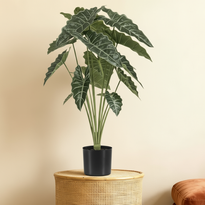 Kunstplant Alocasia Olifantsoor | 88cm