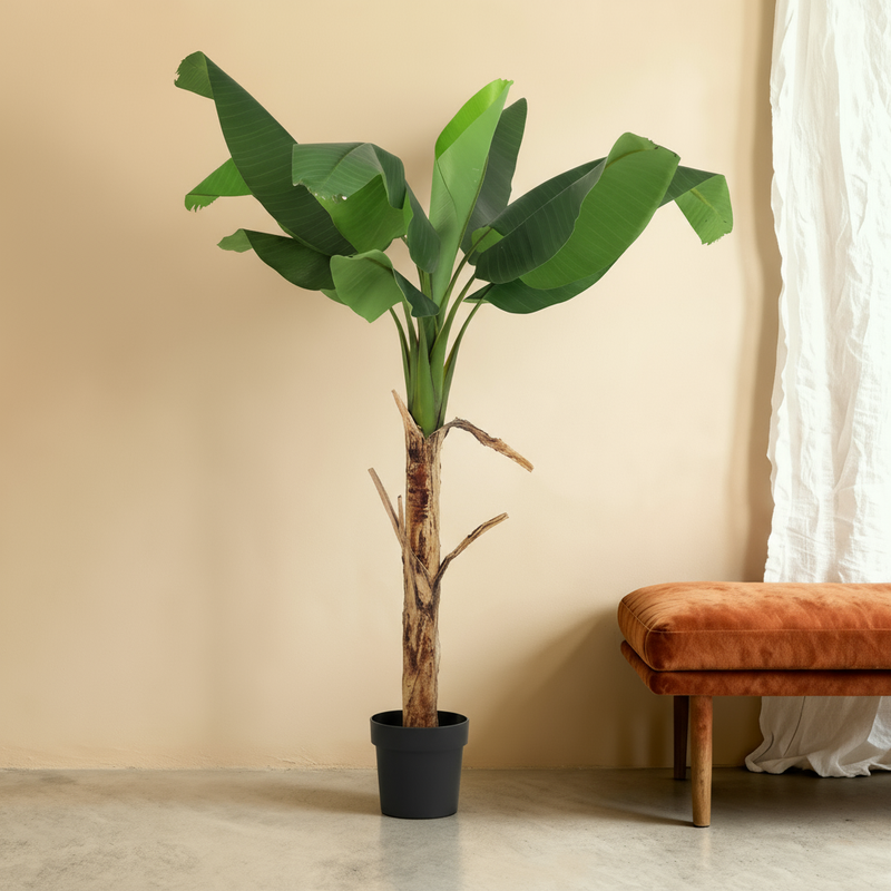 





Kunstplant Bananenplant | 150cm - Premium kunstplant van Florafy
