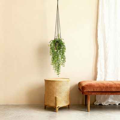 Kunstplant Ficus | 80cm