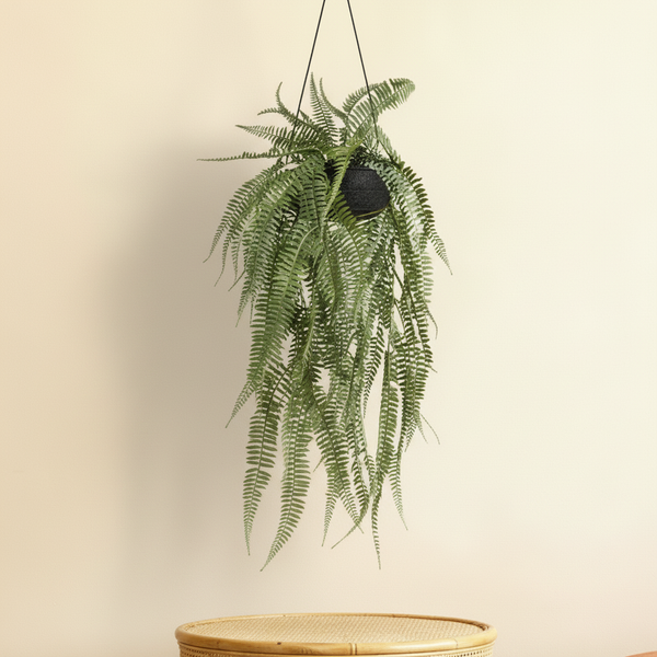 Elegante Kunst fern 'varen' - 70cm Hoog