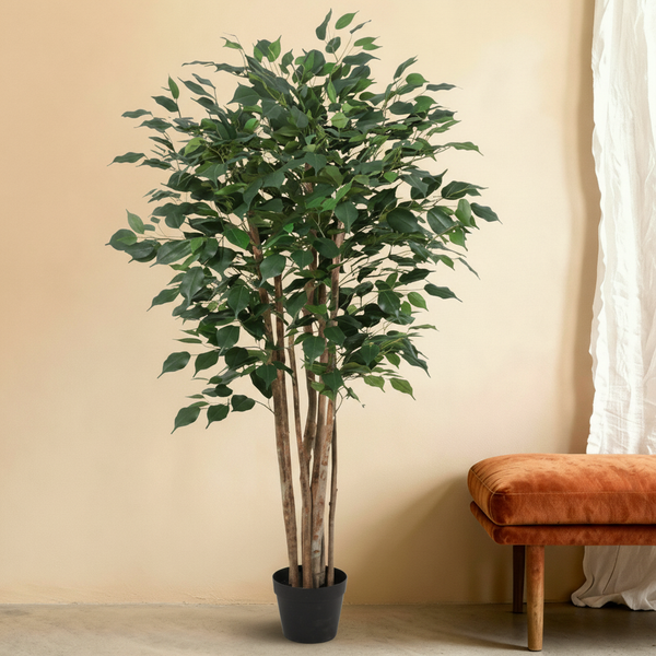 Kunstplant Ficus Benjamina | 150cm — close-up echte stam