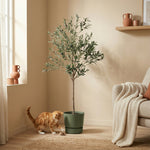 





Kunstplant Olijfboom | 172cm - Afbeelding 5
 thumbnail