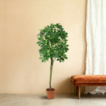 





Kunstplant Pachira | 150cm - Lifestyle foto kunstplant in interieur
 thumbnail