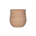 





Vaso Nika Terra - Premium kunstplant van Florafy
 thumbnail