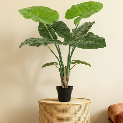 Kunstplant Alocasia Olifantsoor | 90cm