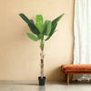 Pianta Artificiale Bananenplant | 190cm