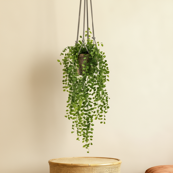 Kunst Ficus 'Vijgenboom' - 80cm: Tijdloze Elegantie