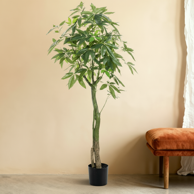Kunstplant Pachira | 150cm