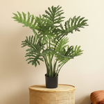 





Artificial Plant Philodendron Selloum | 80cm - Detail view kunstplant
 thumbnail
