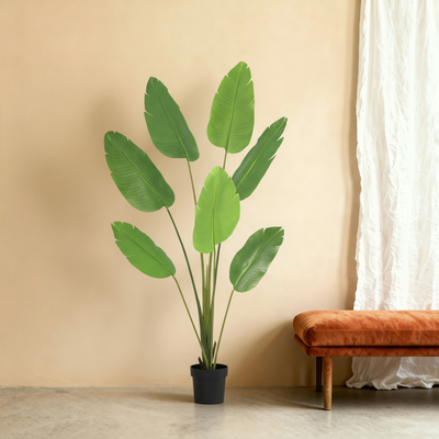 Pianta artificiale Strelitzia | 170cm