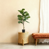 Planta Artificial Ficus Lyrata | 90cm