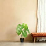 





Pianta Artificiale Philodendron | 103cm - Lifestyle foto kunstplant in interieur
 thumbnail