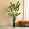 Umelá Rastlina Strelitzia | 200cm