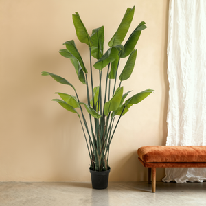 Kunstplant Strelitzia | 200cm