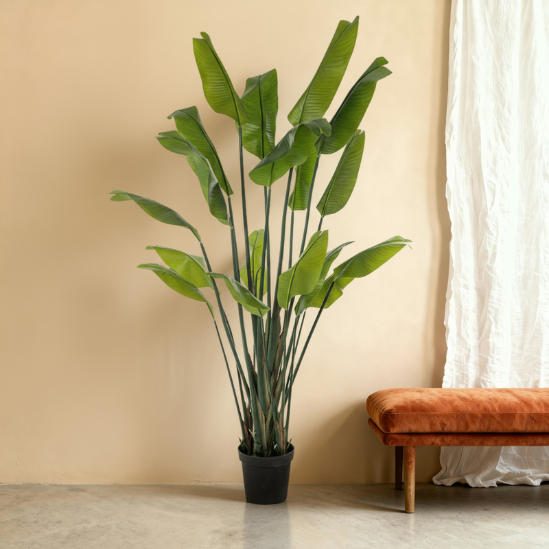 





Umelá Rastlina Strelitzia | 200cm - Premium kunstplant van Florafy

