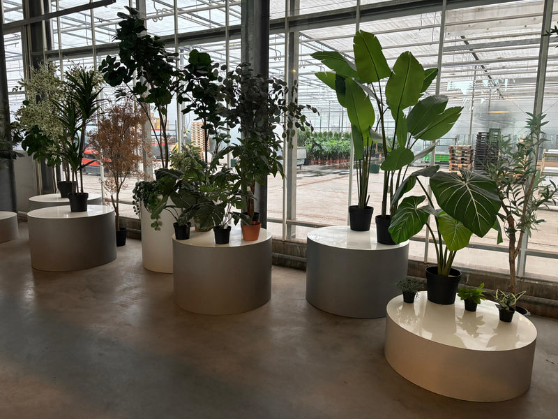 Florafy Showroom Interieur