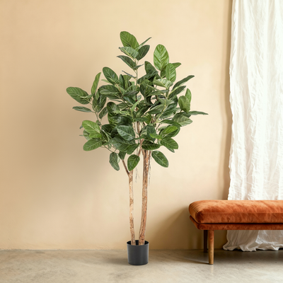 Kunstplant Ficus Audrey | 170cm