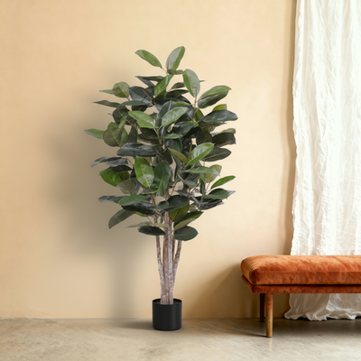 Kunstplant Ficus Elastica Robusta | 170cm