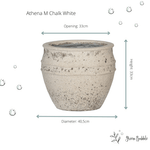 





Pot Athena - Afbeelding 5
 thumbnail