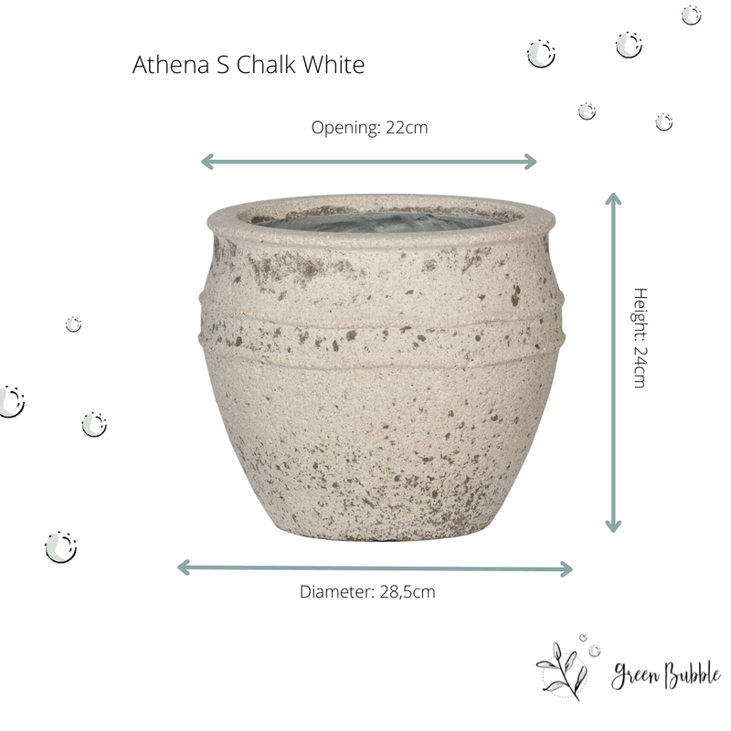 





Pot Athena - Afbeelding 4
