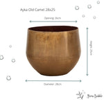 





Ayka old camel - Afbeelding 5
 thumbnail