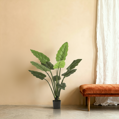 Kunstplant Philodendron Sweetheart | 120cm