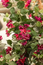 





Kunstplant Bougainville | 120cm - Lifestyle foto kunstplant in interieur
 thumbnail