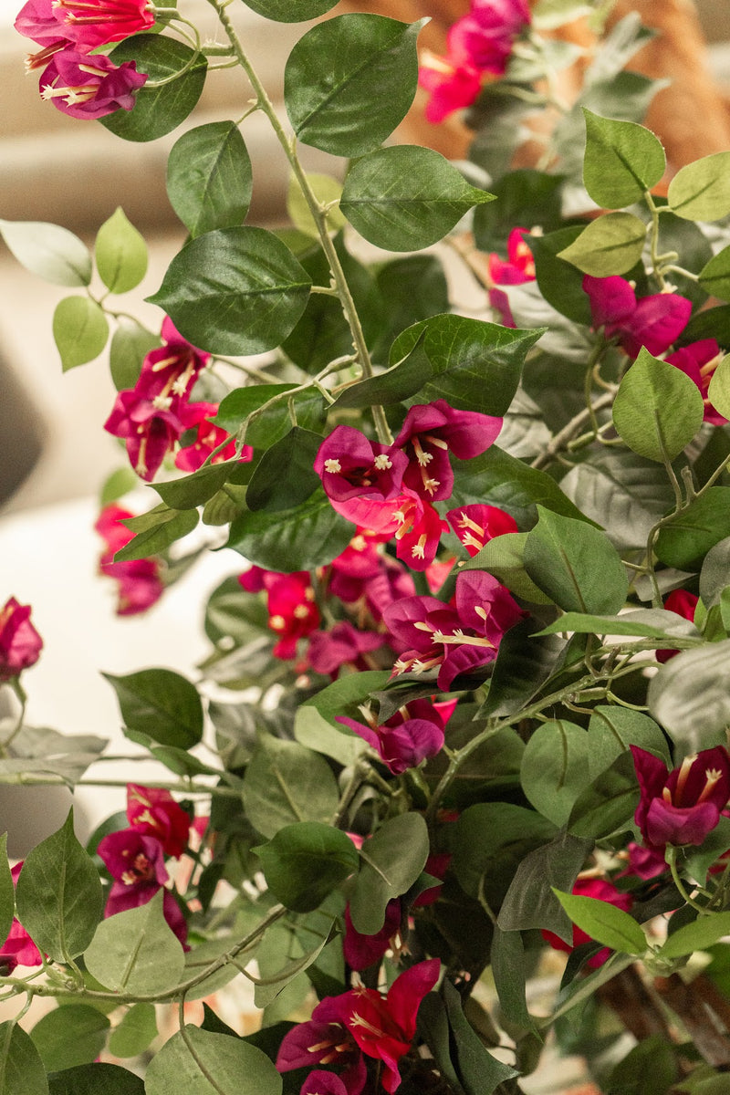 





Kunstplant Bougainville | 120cm - Lifestyle foto kunstplant in interieur
