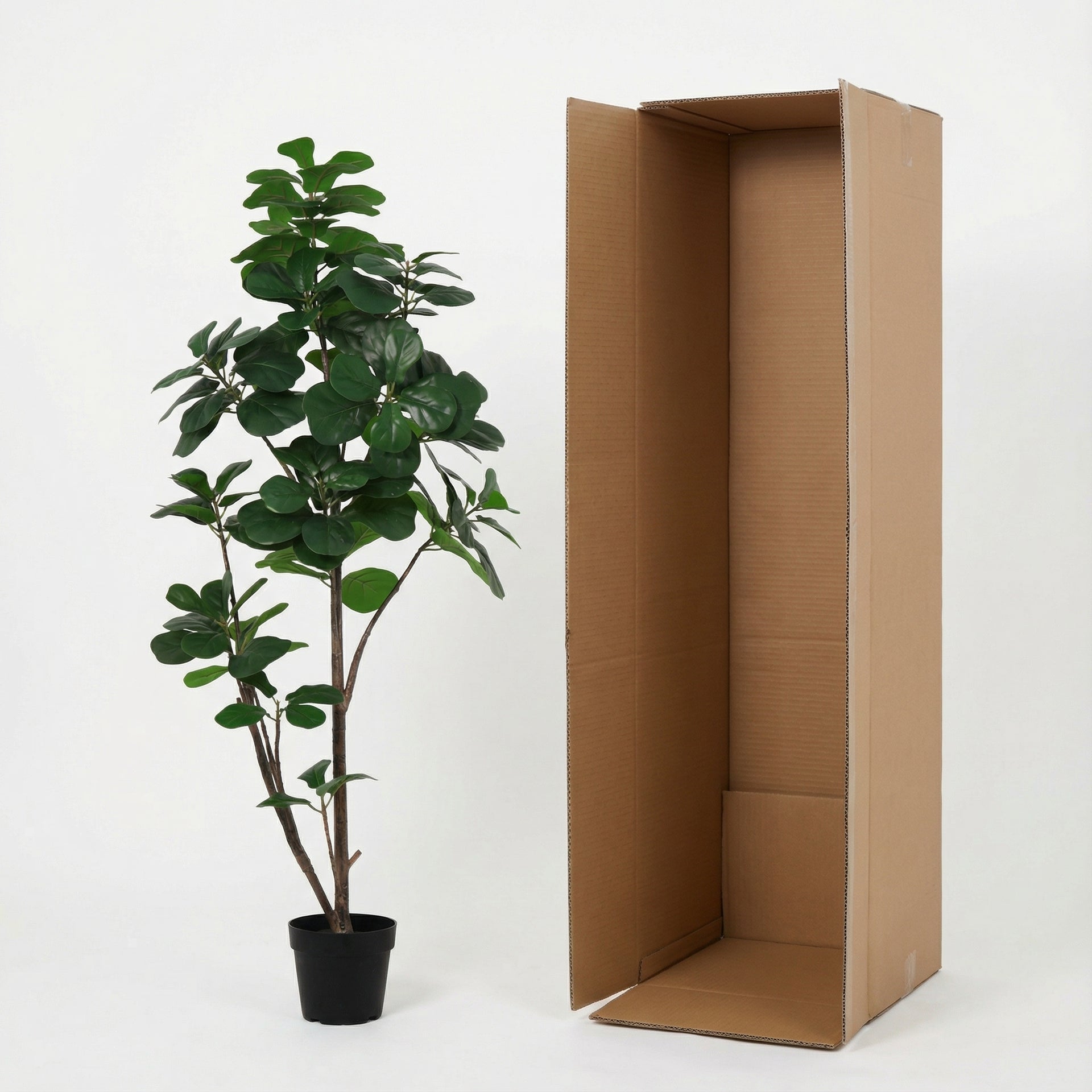 





Kunstplant Ficus Lyrata Vertakt | 150cm - Afbeelding 10
