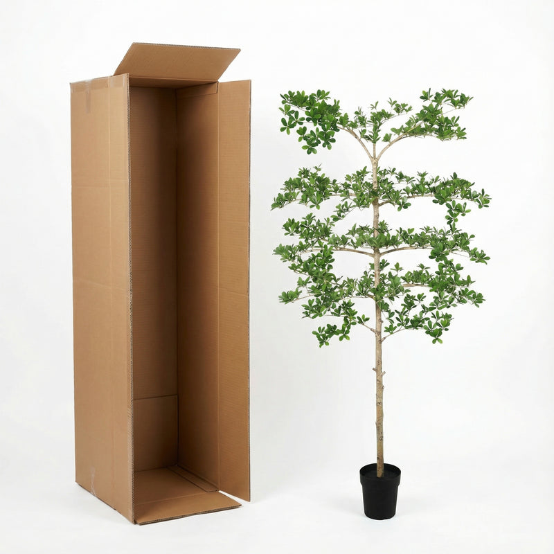 





Kunstplant Bucida | 200cm - Afbeelding 8
