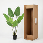 





Kunstplant Strelitzia | 153cm - Afbeelding 9
 thumbnail