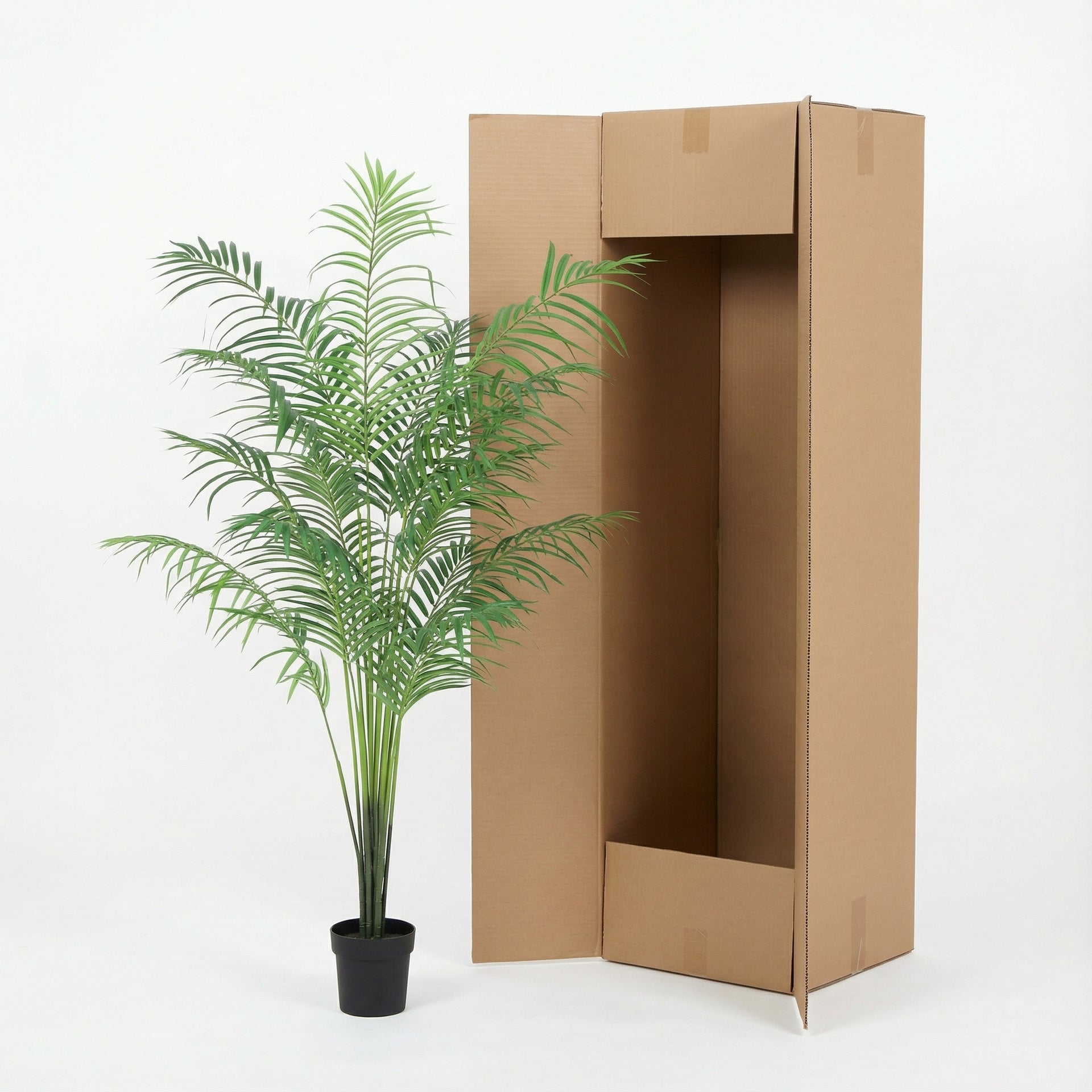 





Kunstplant Kentia Palm | 170cm - Afbeelding 8
