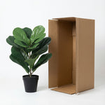 





Umělá Rostlina Ficus Lyrata | 40cm - Afbeelding 8
 thumbnail