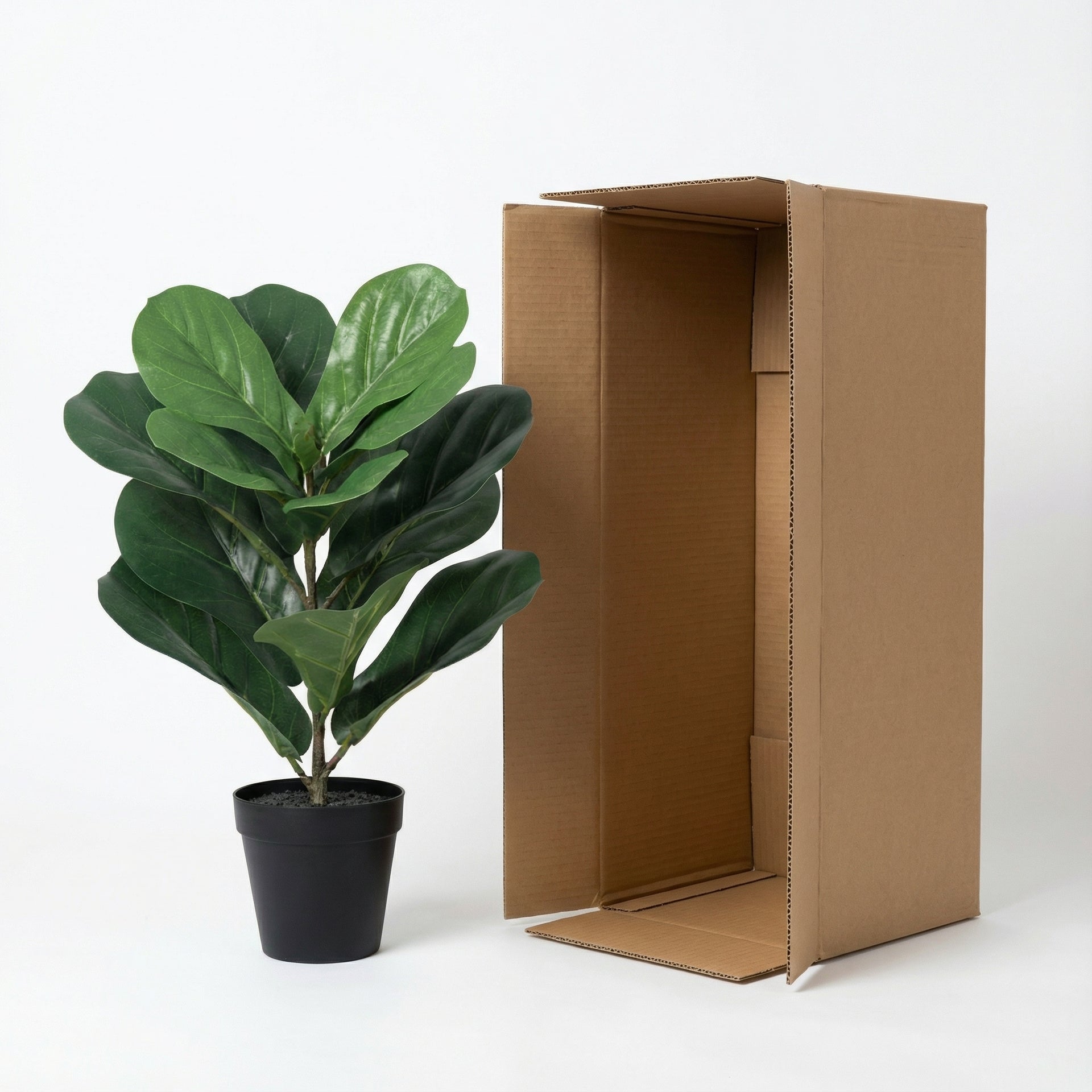 





Kunstplant Ficus Lyrata | 40cm - Afbeelding 8
