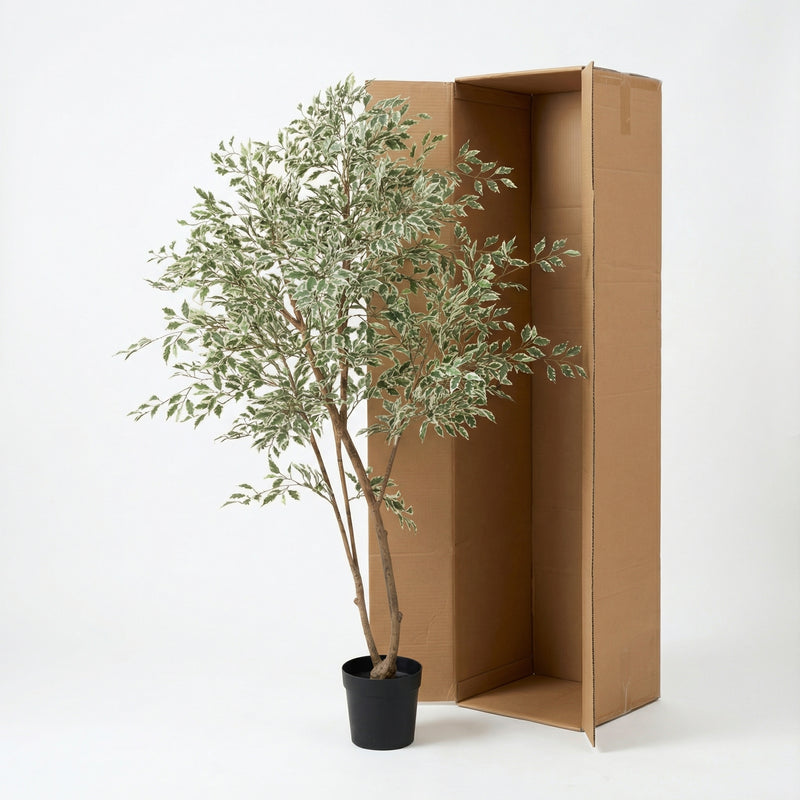 





Kunstpflanze Ficus Benjamina Variegata | 185cm - Afbeelding 8
