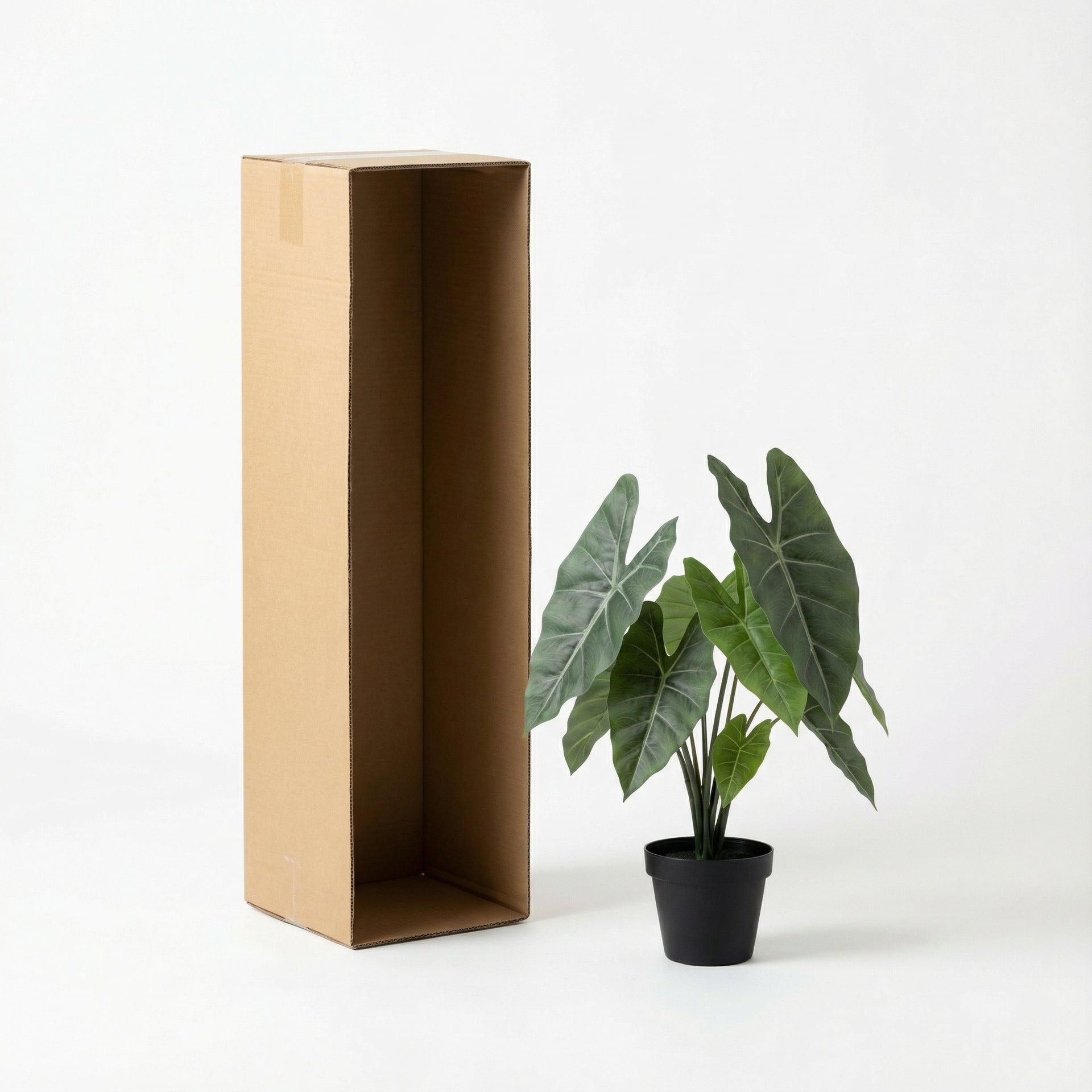 





Kunstplant Alocasia | 42cm - Afbeelding 9
