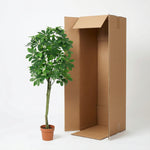 





Kunstplant Pachira | 150cm - Afbeelding 9
 thumbnail