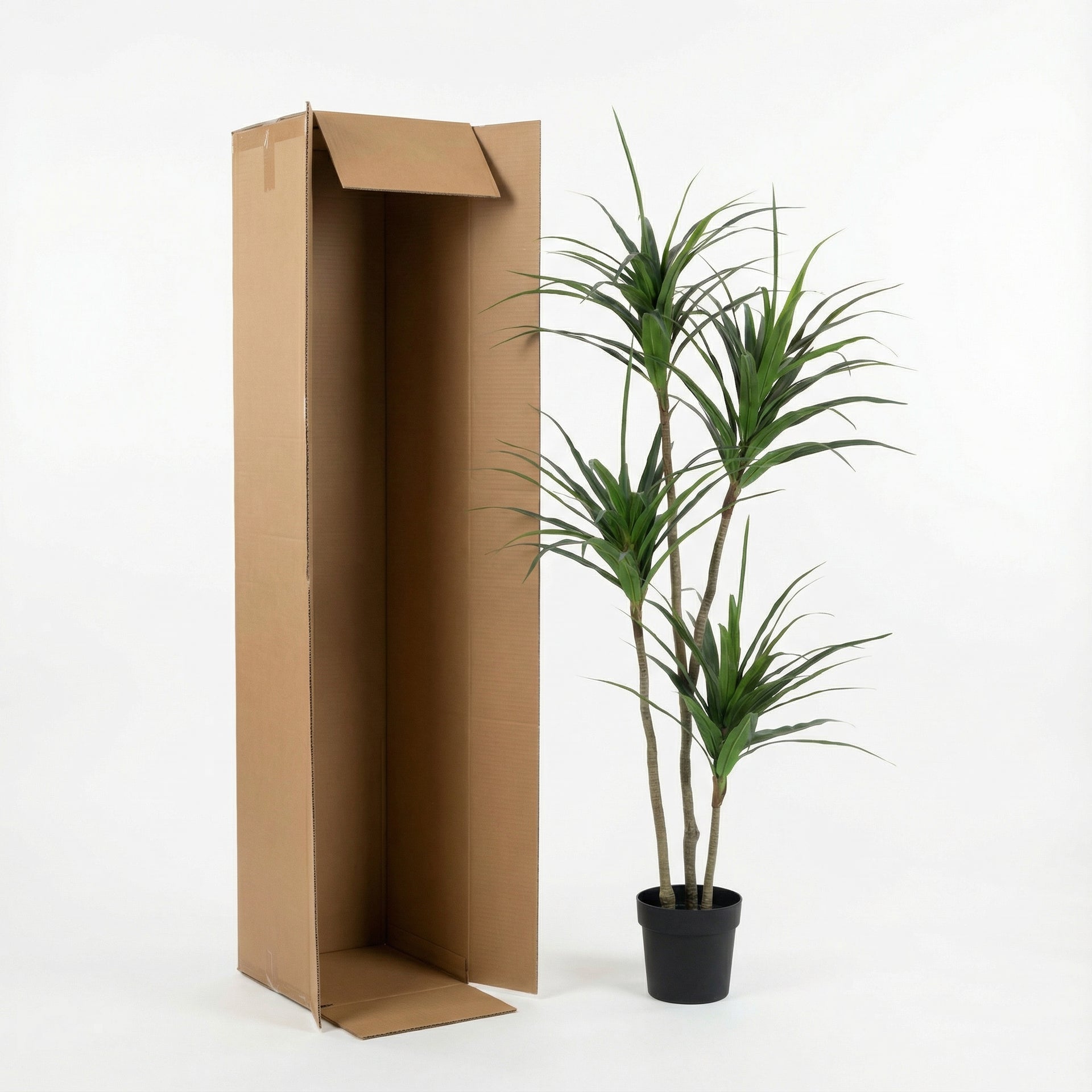 





Kunstplant Dracaena | 165cm - Afbeelding 8
