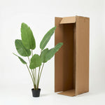 





Pianta Artificiale Strelitzia | 135cm - Afbeelding 8
 thumbnail