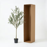 





Kunstplant Olijfboom | 169cm - Afbeelding 8
 thumbnail