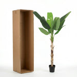 





Pianta Artificiale Bananenplant | 190cm - Afbeelding 8
 thumbnail