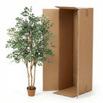 





Pianta Artificiale Ficus Exotica | 150cm - Afbeelding 8
 thumbnail